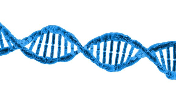Gentechnik_Lebensmittel_dna-163710_1280.jpg