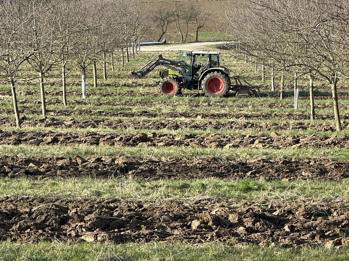 Agroforst_Kongress_Michael_Grolm