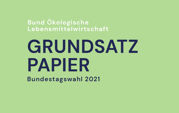 Sonstige_Grundsatzpapier_BTW2021.png  