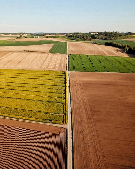 EU_Agrarpolitik_Feld_Johannes-stroetker.jpg  