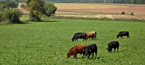 Was ist Ökologische Landwirtschaft? | Bund Ökologische