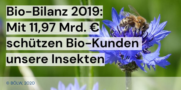 Twitter_Kachel_BioUmsatz2019_Insekten.jpg  