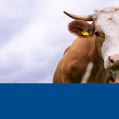 Being Organic in EU Being Organic in EU