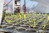 Foto: Being Organic in EU