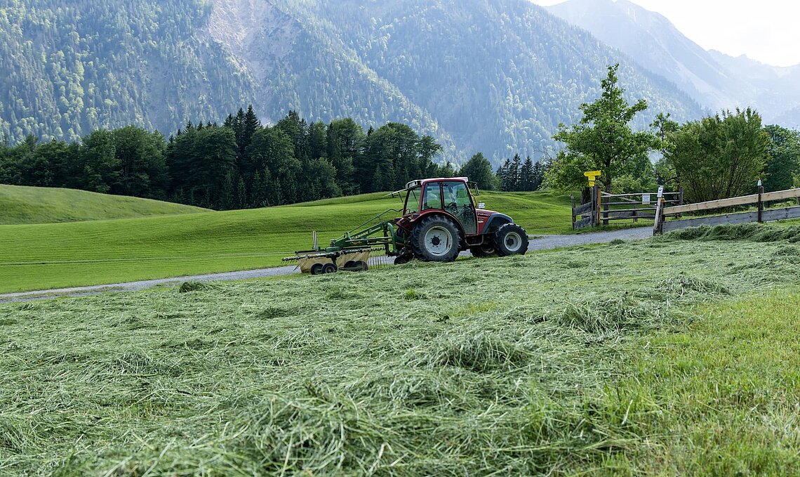 Being Organic in EU Being Organic in EU