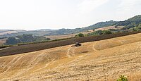 BEING ORGANIC IN EU