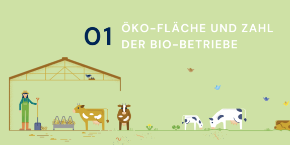 01_OEkoFlaeche_ZahlBetriebe.png