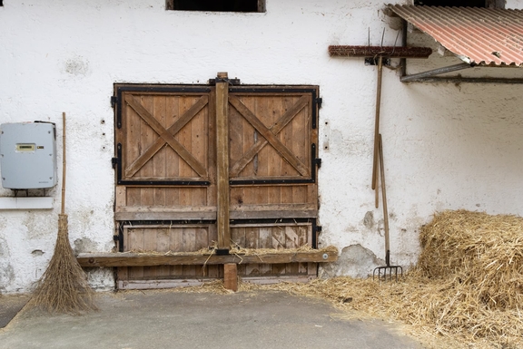 Foto: Being Organic in EU