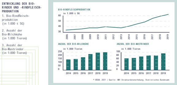 08_BioBoom_BioRindfleisch_2014-2020.jpg  