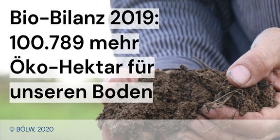 Twitter_Kachel_ÖkoFläche2019_Boden.jpg  