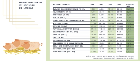 02_Produktionsstruktur_BioFlaechen_2020.jpg  