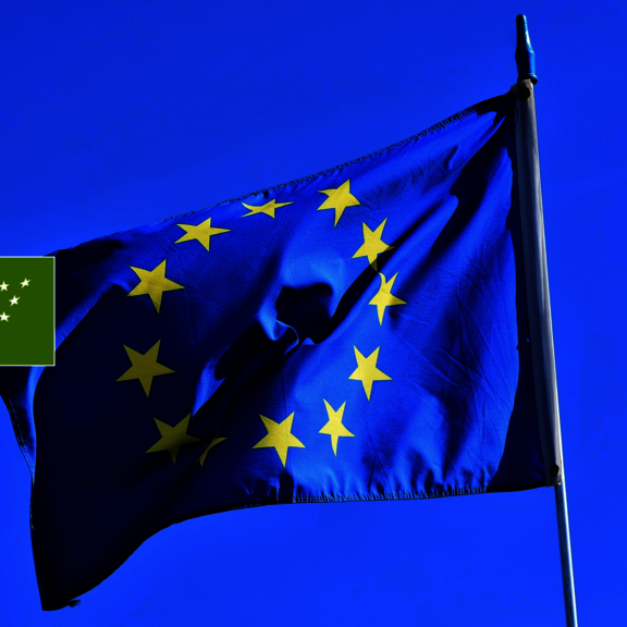 EU-Oeko-Verordnung_Flagge_flag-3370970_1920.png  