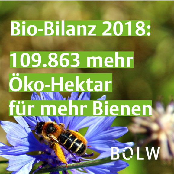 Grafik_was_Bio_Bauern_für_Artenvielfalt_tun.png  