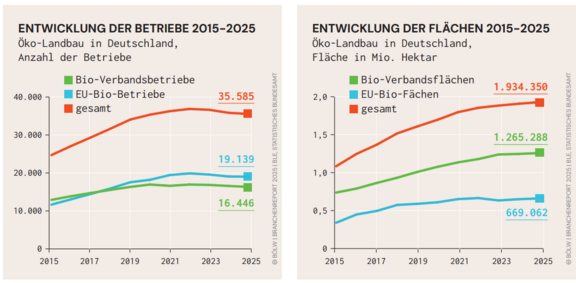 BR26_BOELW_Oekofläche und Bio-Betriebe 2025