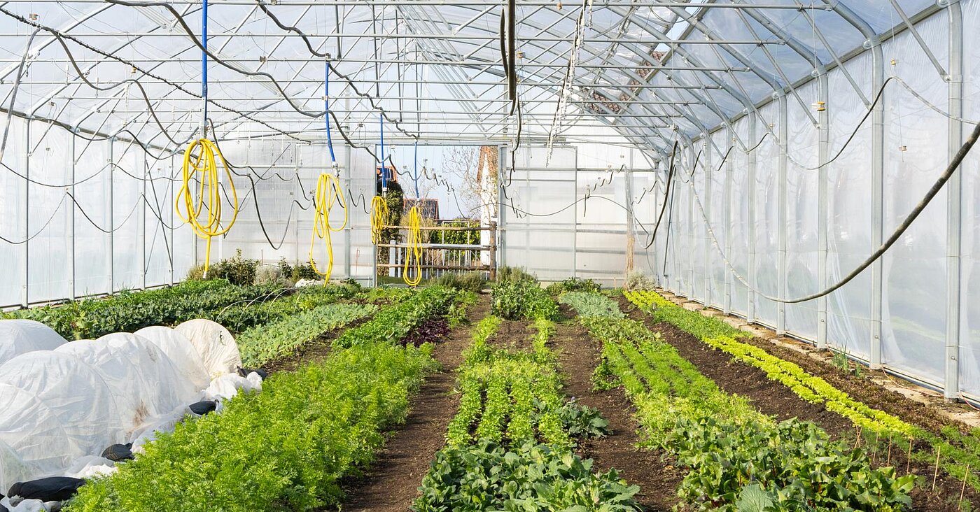 Praxisforschung_WOW_Organic Praxisforschung_WOW_Organic