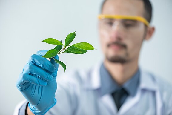 Gentechnik_Landwirtschaf_Pflanze_im_Labor.jpg  