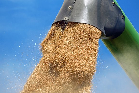 Zahlen_Fakten_Landwirtschaft_wheat-1508654_1920.jpg
