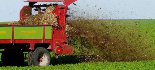 Wie wird im Ökologischen Landbau gedüngt? | Bund Ökologische