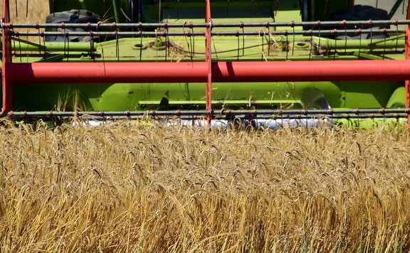 EU-Oeko-Verordnung_Revision_harvest-2524775_1920.jpg  