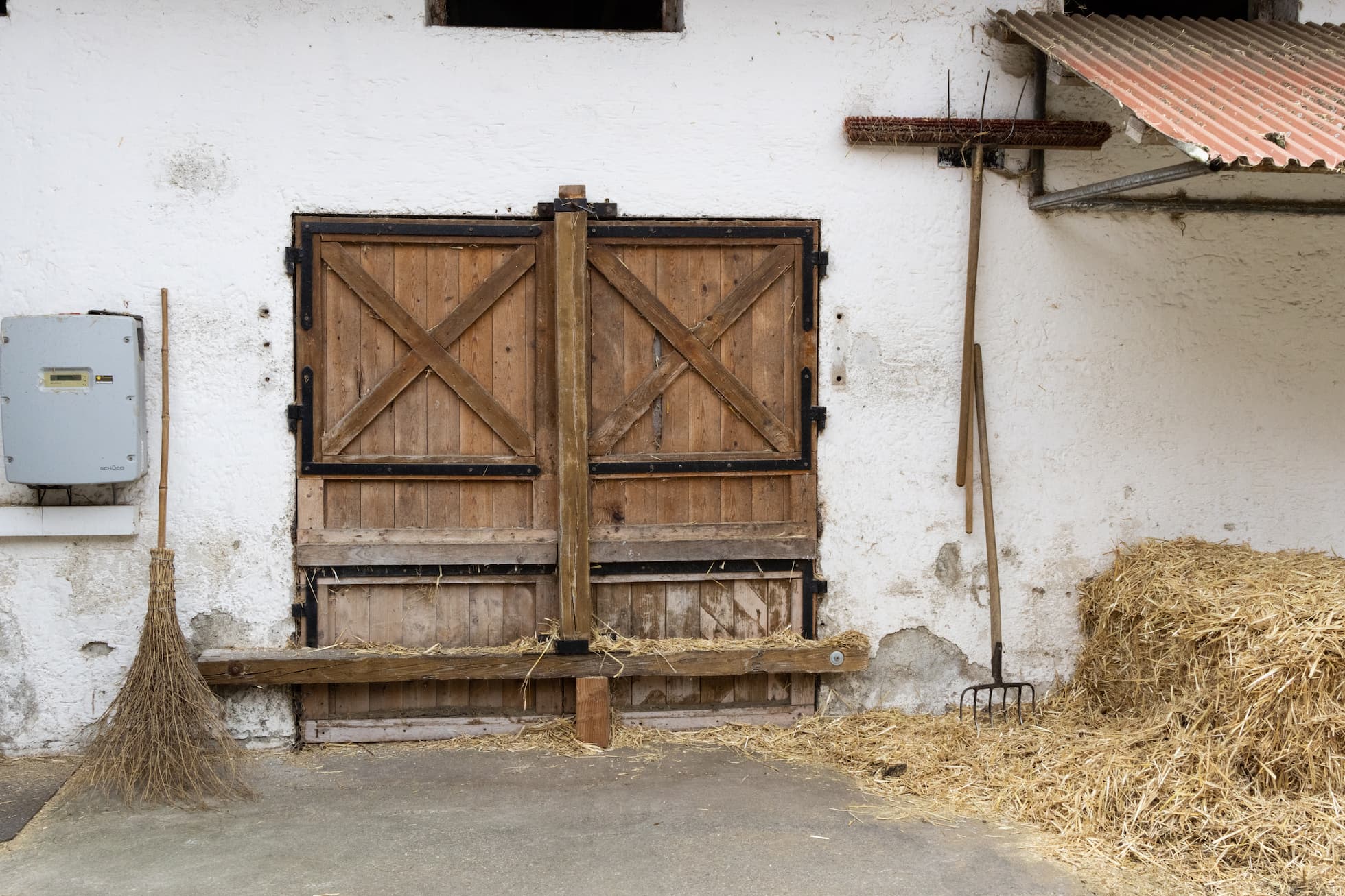 Foto: Being Organic in EU