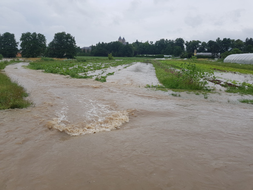 Sonstige_Flut_Acker_unter_Wasser_Qeulle_Naturland_Raritaetengaertnerei_Schwarzach_klein.jpg  